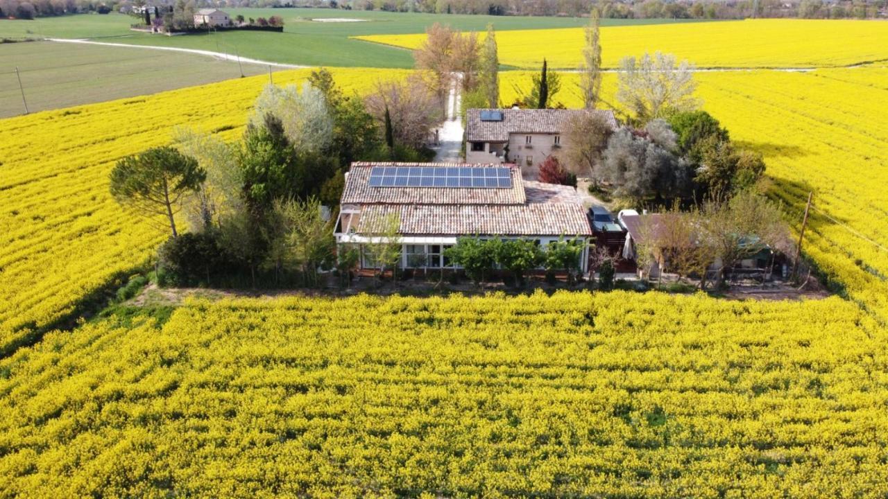 La Casa Di Tara B&B Armonia E Natura Recanati Exterior photo